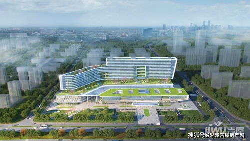 中心医院九华分院举行开工仪式 正式全面开工啦